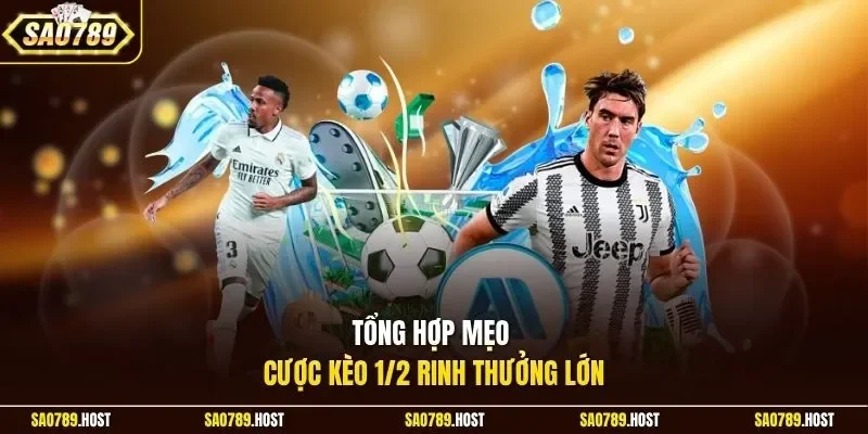 Tổng hợp mẹo cược kèo 1/2 rinh thưởng lớn